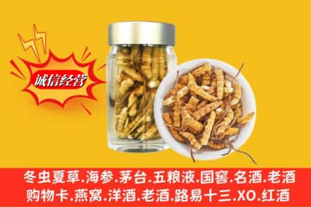南充市南部回收散虫草