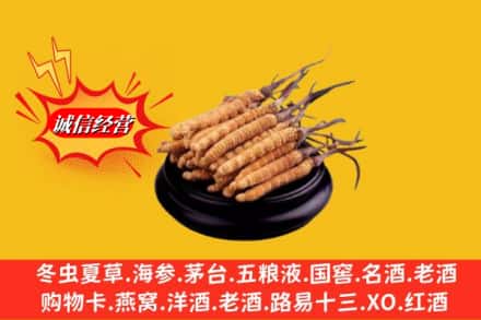 南充市南部求购回收虫草多少钱每克